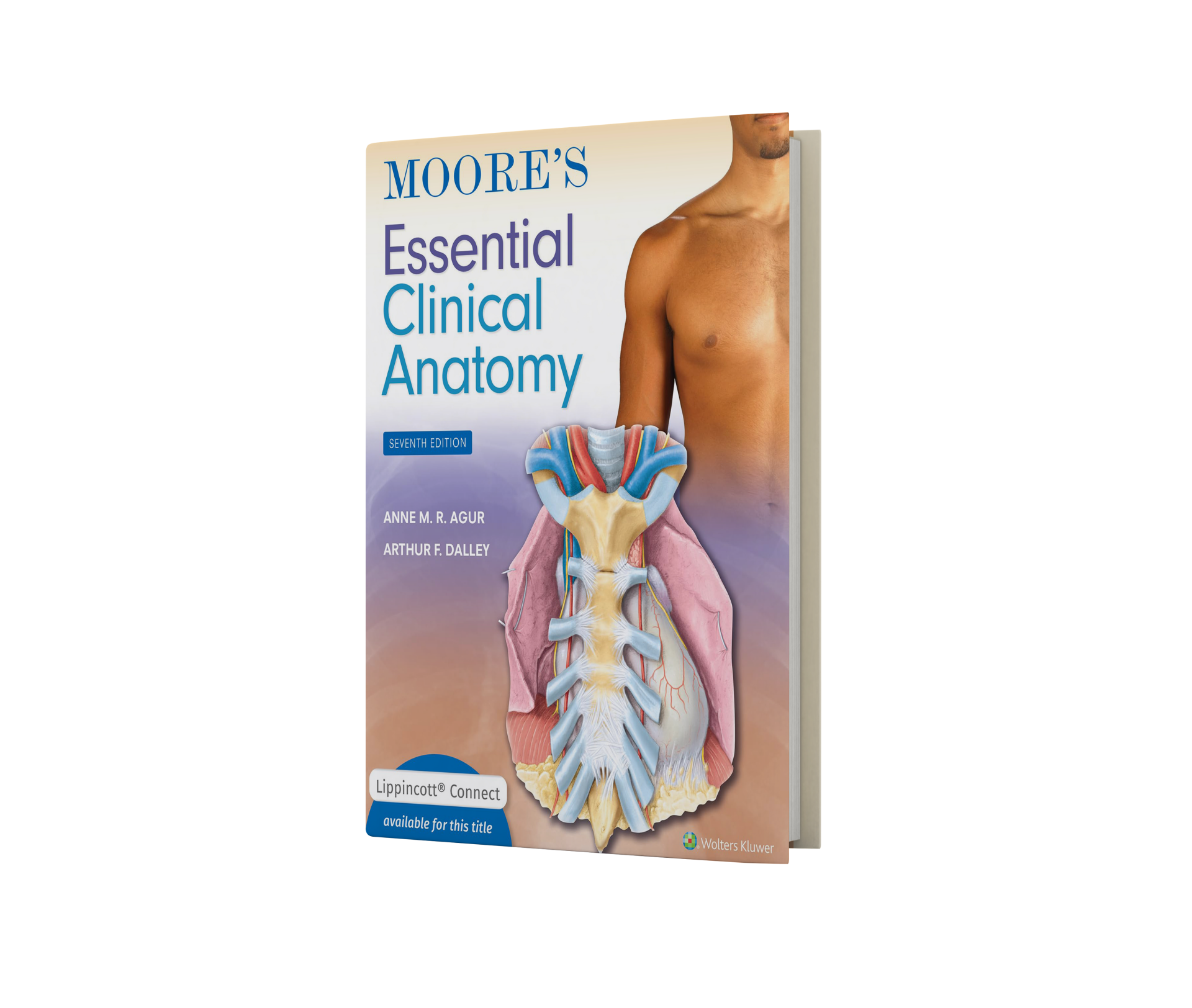 Moore's Essential Clinical Anatomy