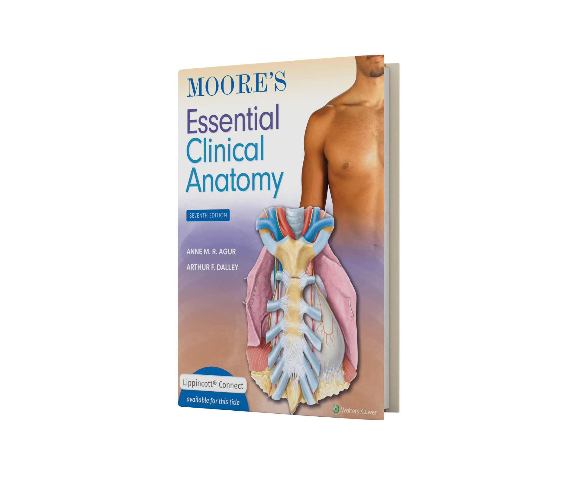 Moore's Essential Clinical Anatomy