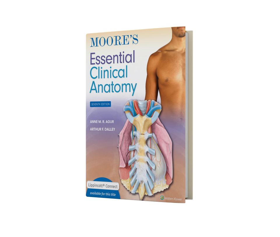 Moore's Essential Clinical Anatomy