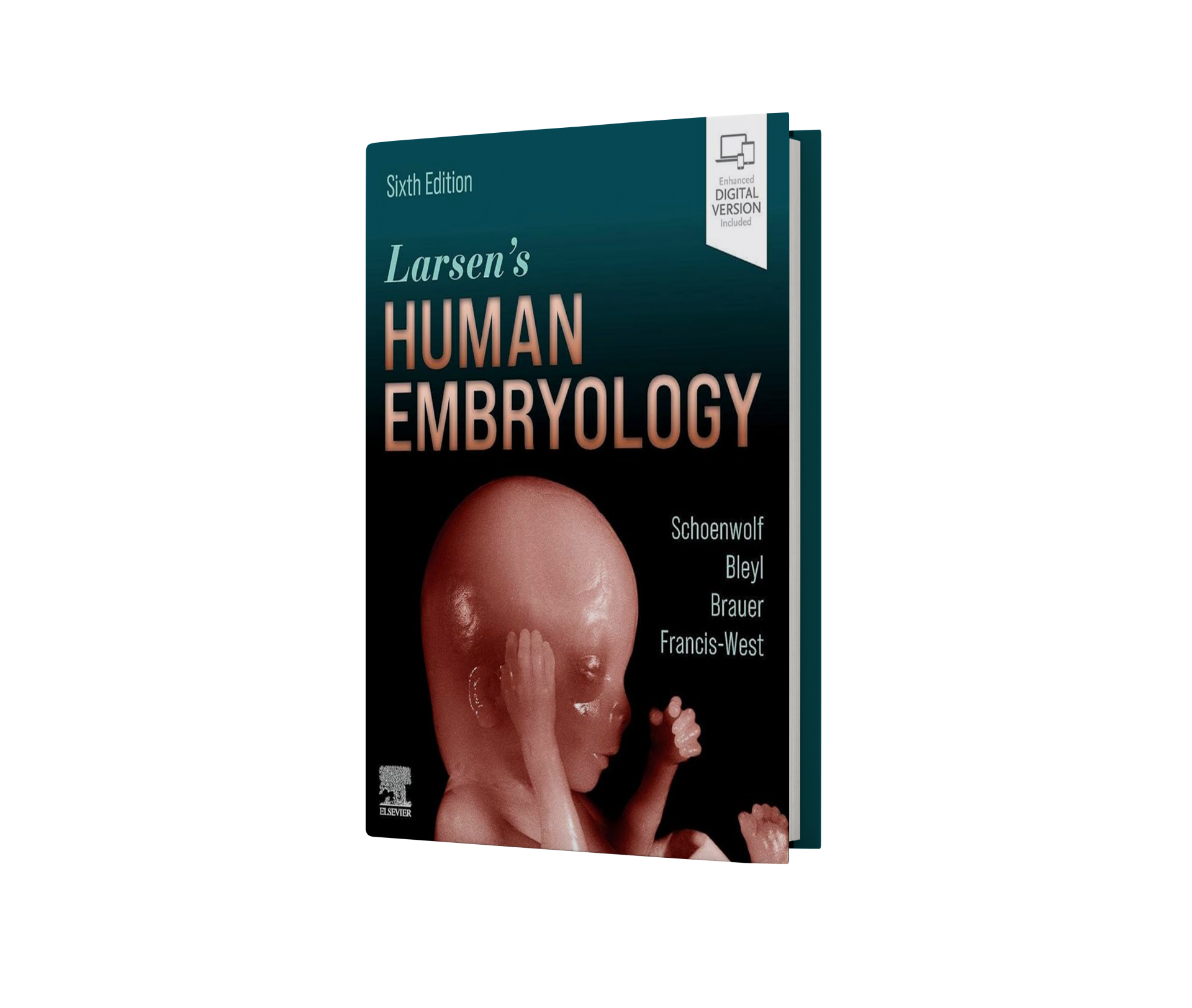 Larsen's Human Embryology,6th Edition
