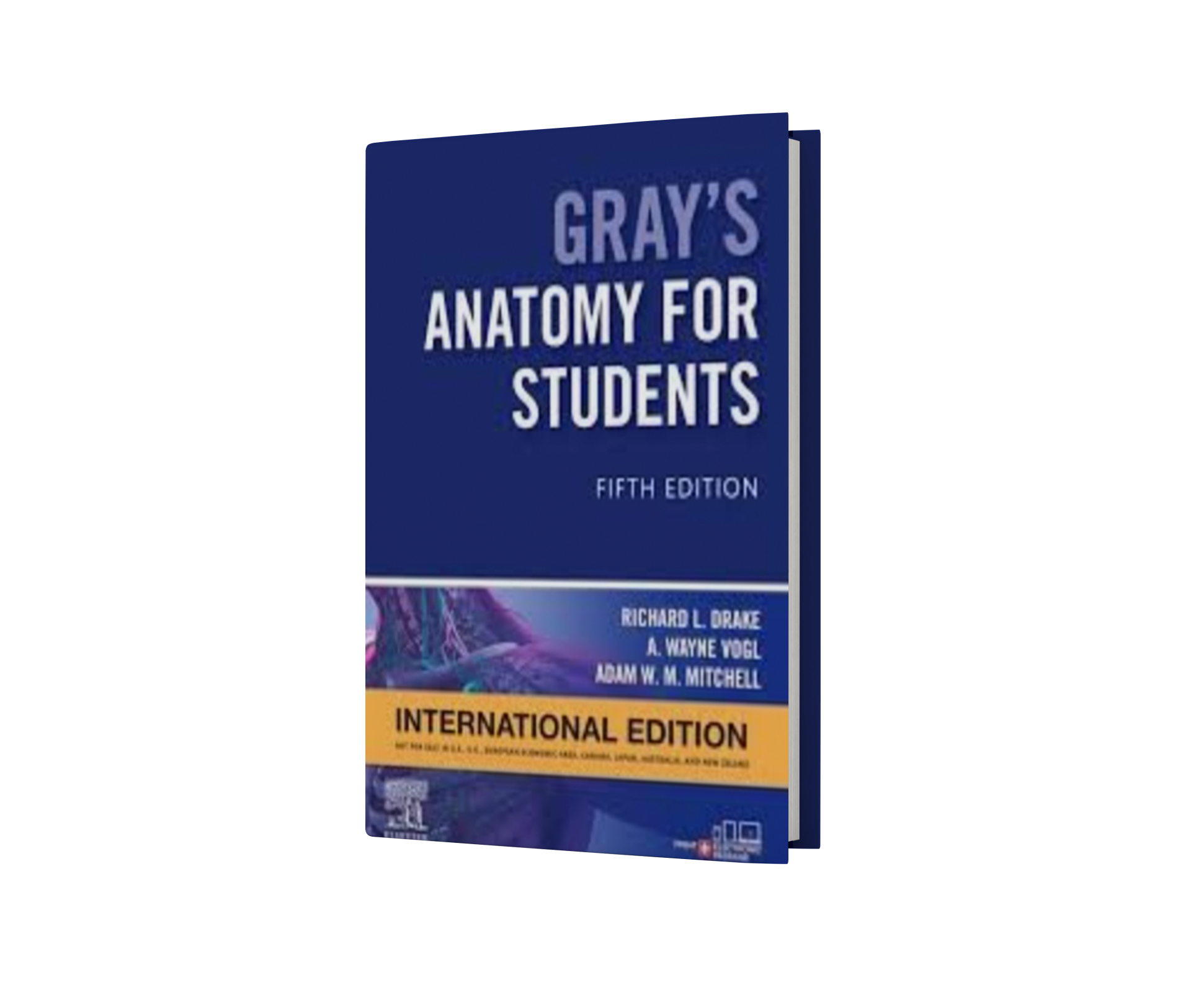 Gray's Anatomy for Students International Edition,5th Edition