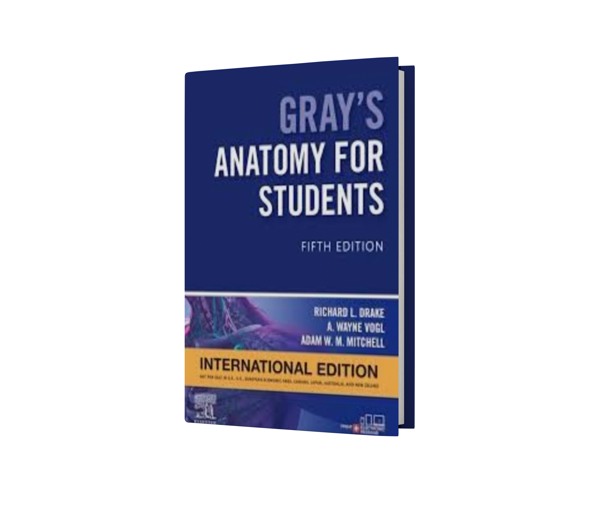 Gray's Anatomy for Students International Edition,5th Edition