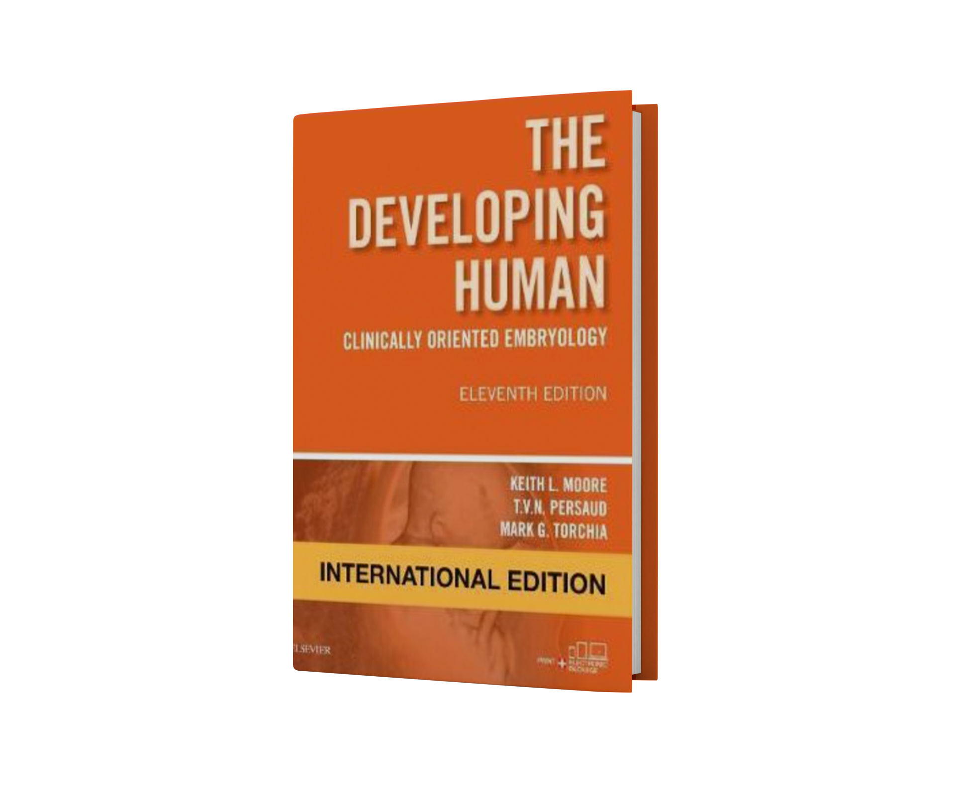 The Developing Human Clinically Oriented Embryology