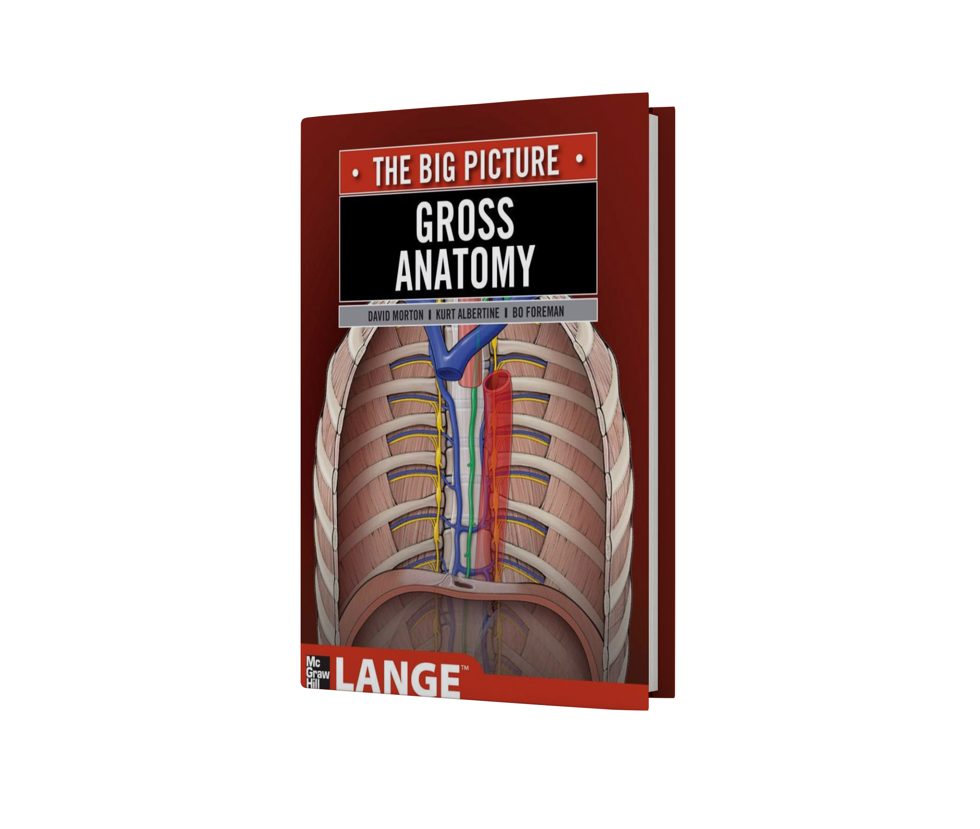 Gross Anatomy: The Big Picture (LANGE The Big Picture)