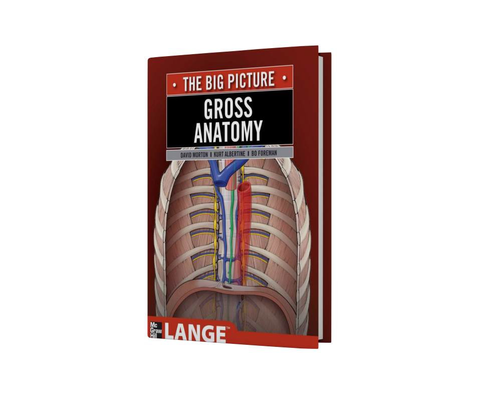 Gross Anatomy: The Big Picture (LANGE The Big Picture)