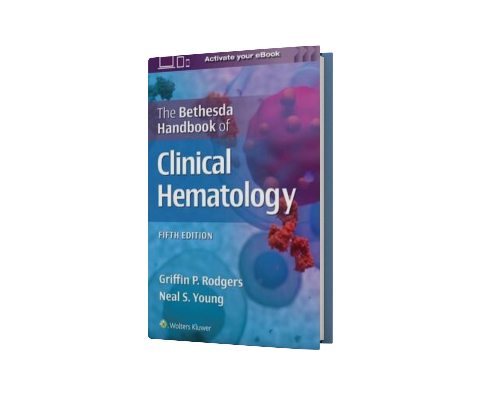 Clinical Hematology: Theory and Procedures 5th Edition