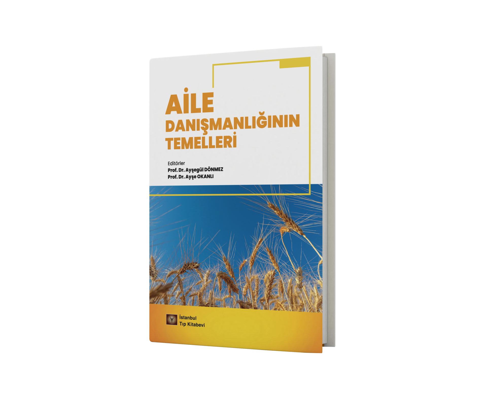 Aile Danışmanlığının Temelleri