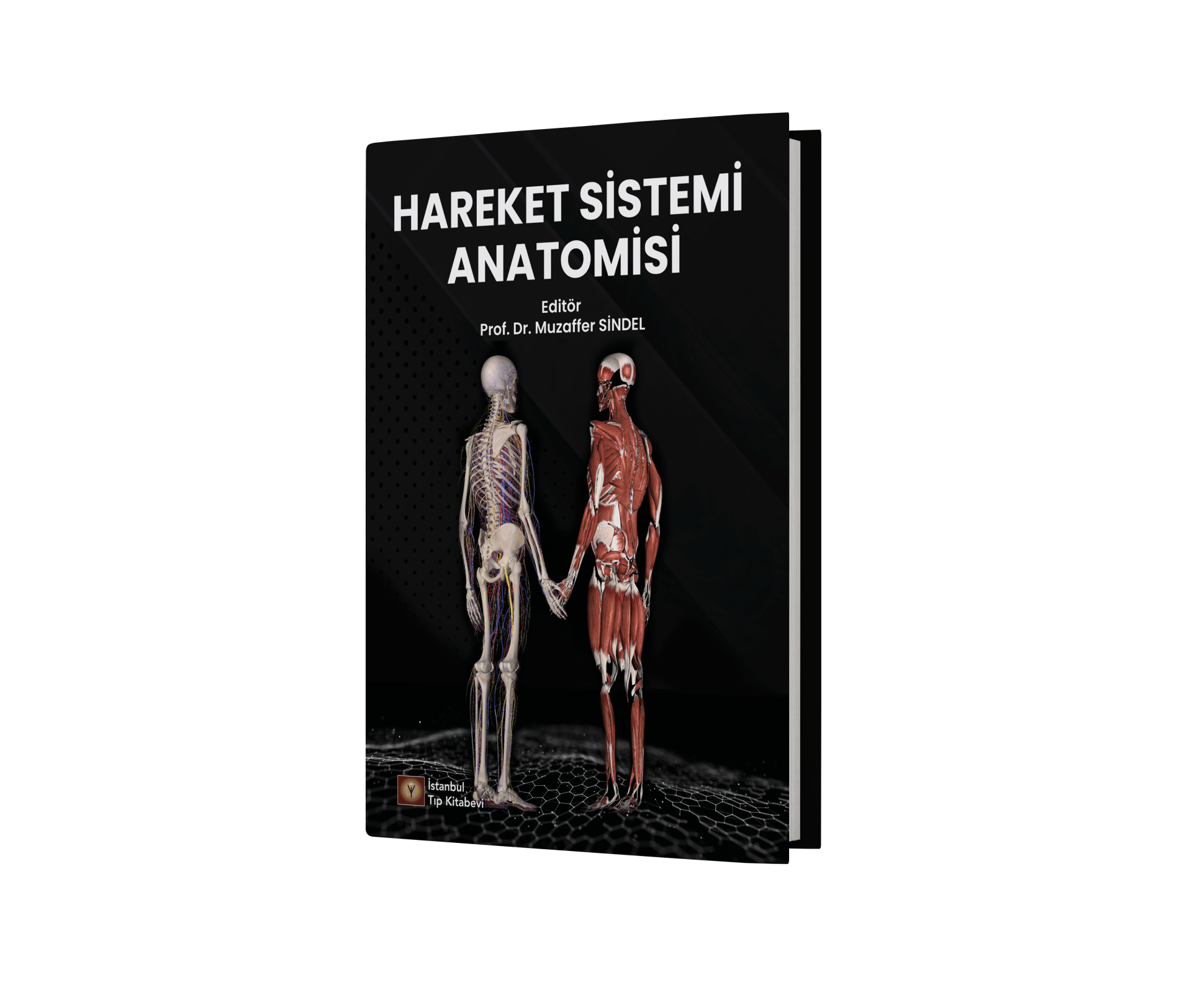 Hareket Sistemi Anatomisi