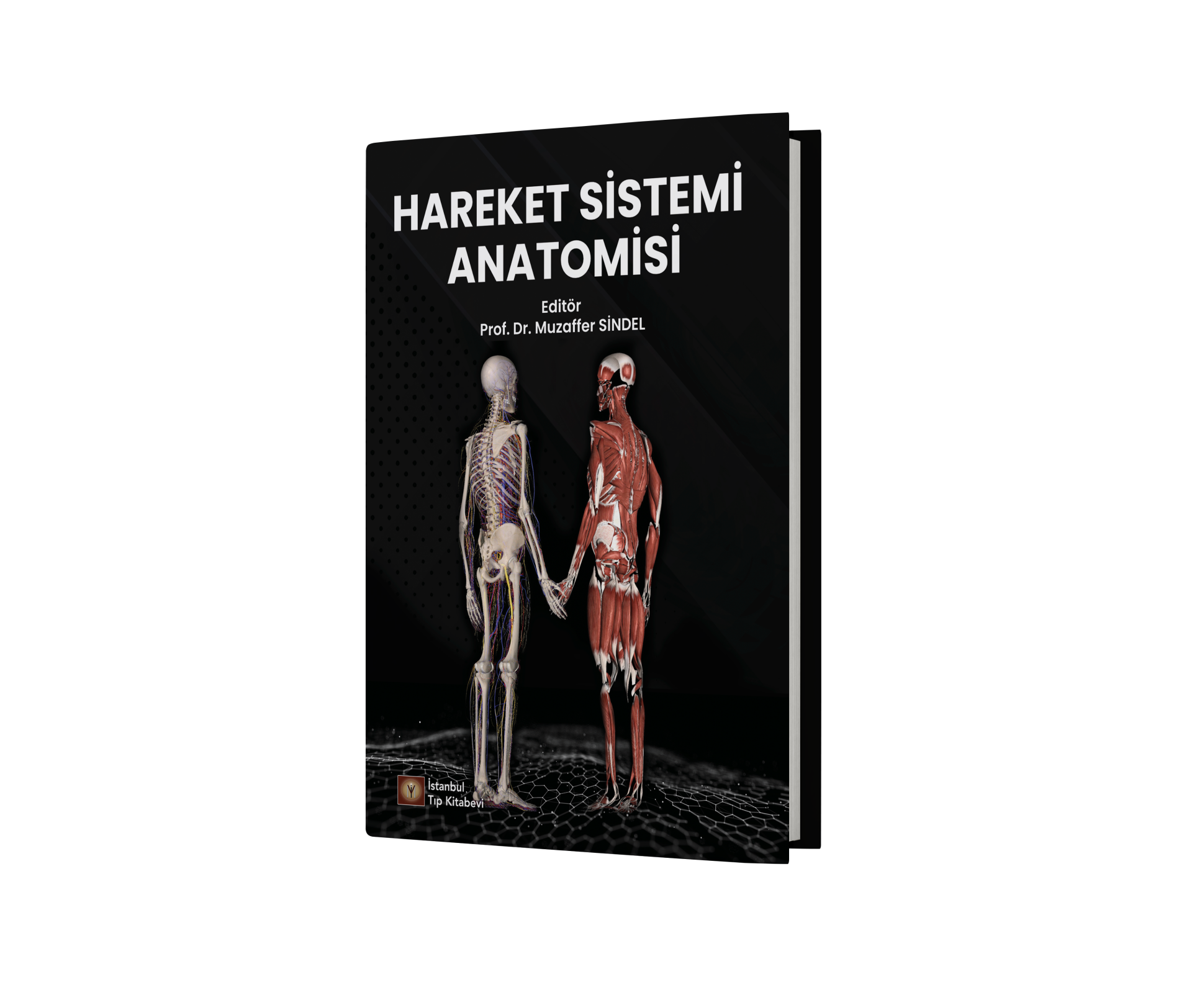 Hareket Sistemi Anatomisi