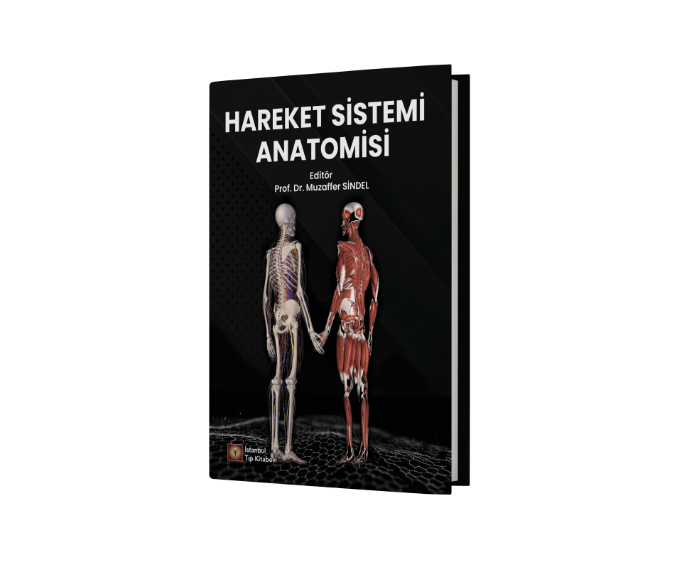 Hareket Sistemi Anatomisi