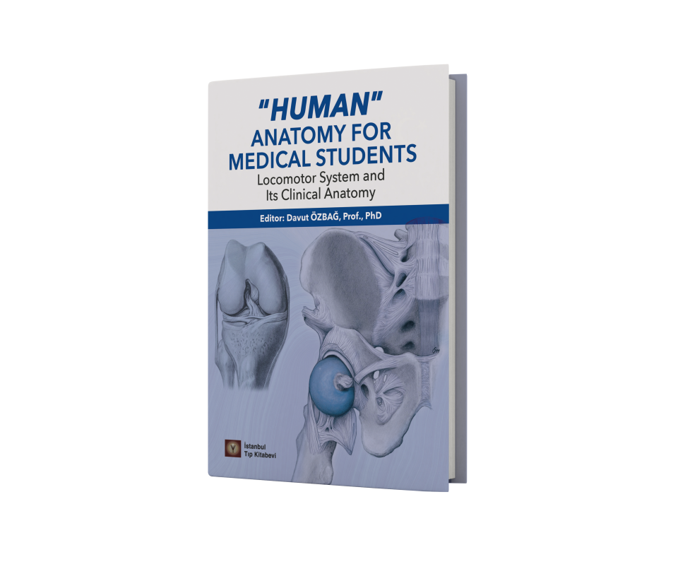 Human Anatomy for Medical Students