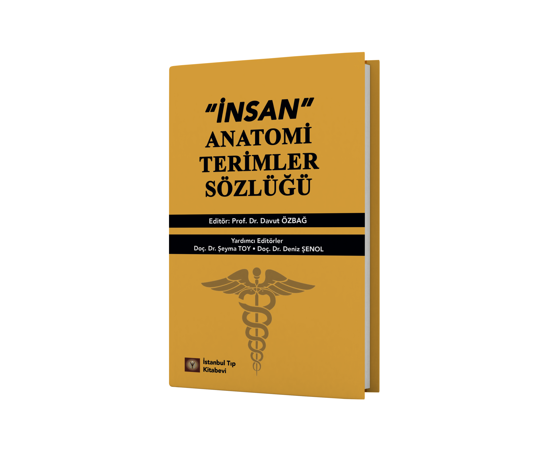 İnsan Anatomi Terimler Sözlüğü