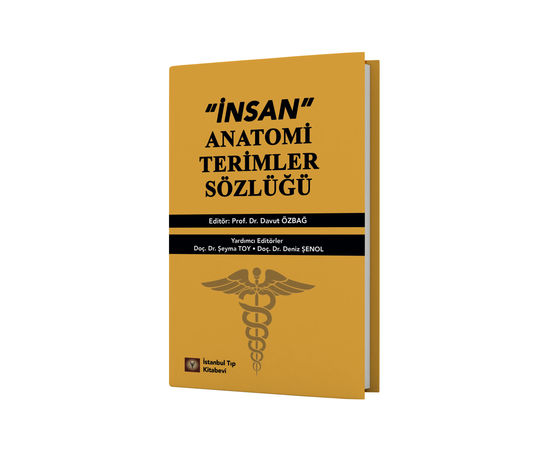 İnsan Anatomi Terimler Sözlüğü