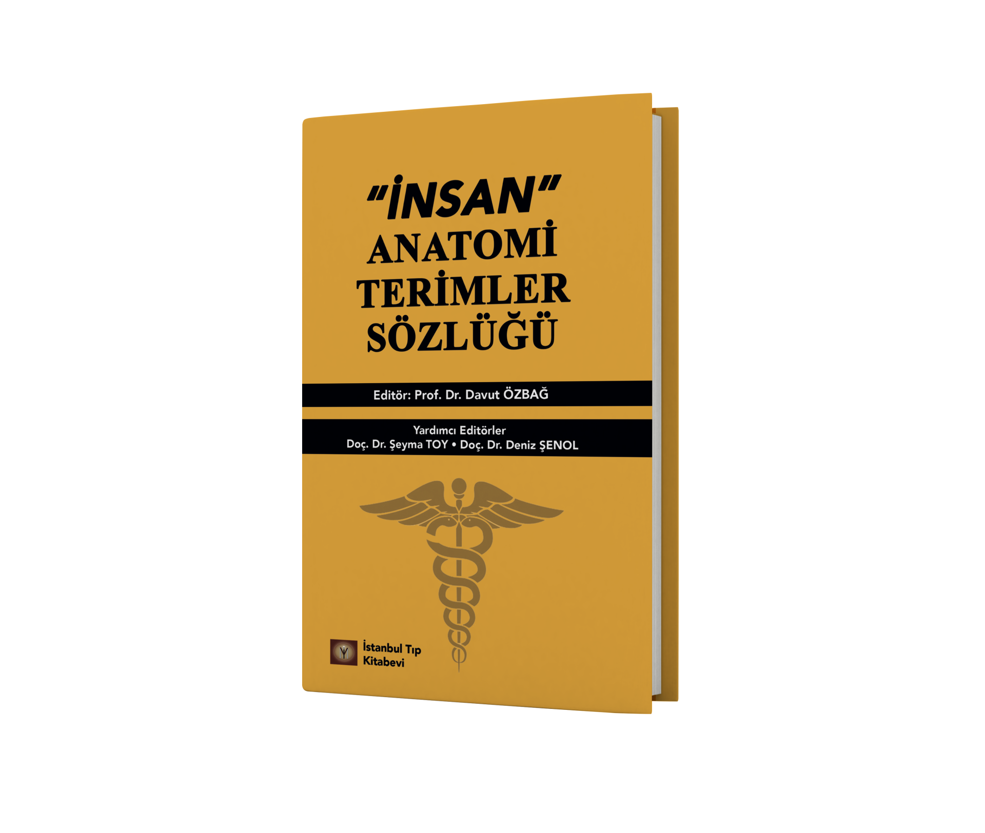 İnsan Anatomi Terimler Sözlüğü