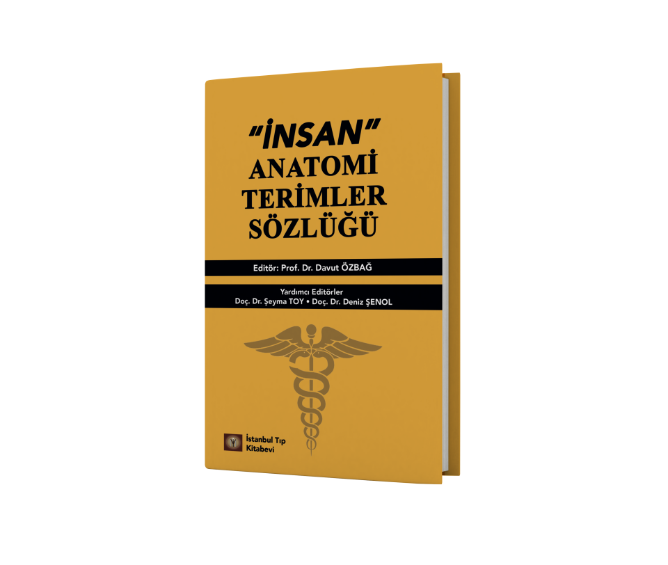 İnsan Anatomi Terimler Sözlüğü