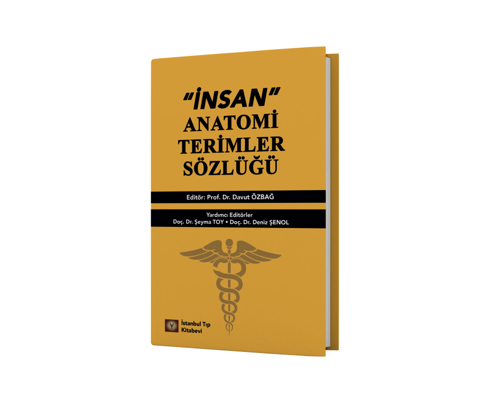 İnsan Anatomi Terimler Sözlüğü
