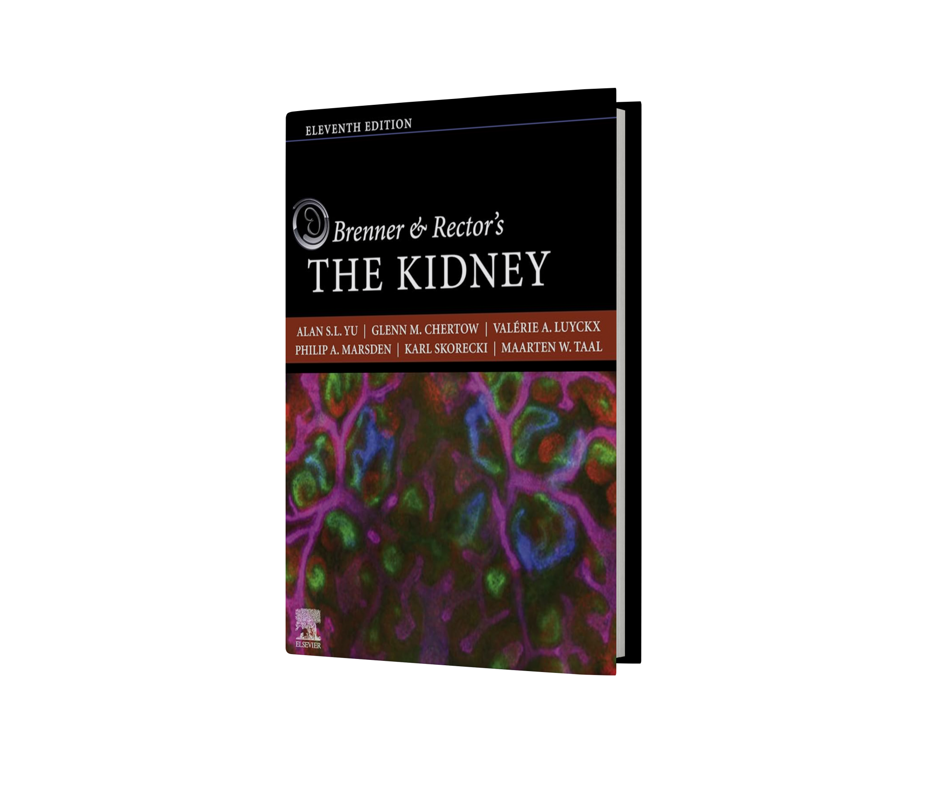 Brenner and Rector's The Kidney, 2-Volume Set 11th Edition
